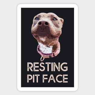 Funny Dog Resting Pit Face Retro Magnet